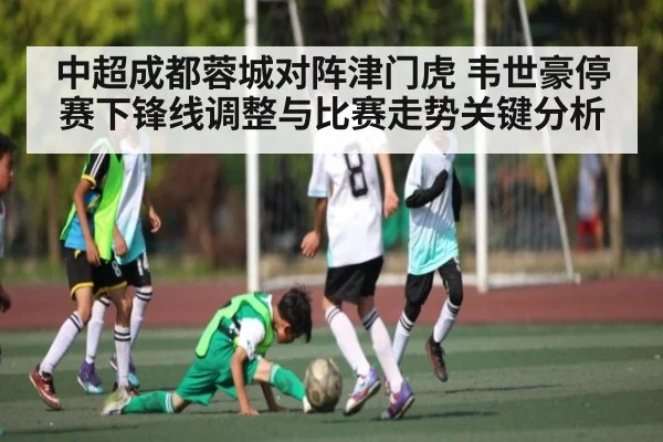 中超成都蓉城对阵津门虎 韦世豪停赛下锋线调整与比赛走势关键分析 | KAIYUN ET